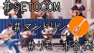 まんどりんおれんじ